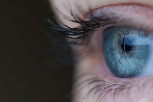 risk communication and visuals