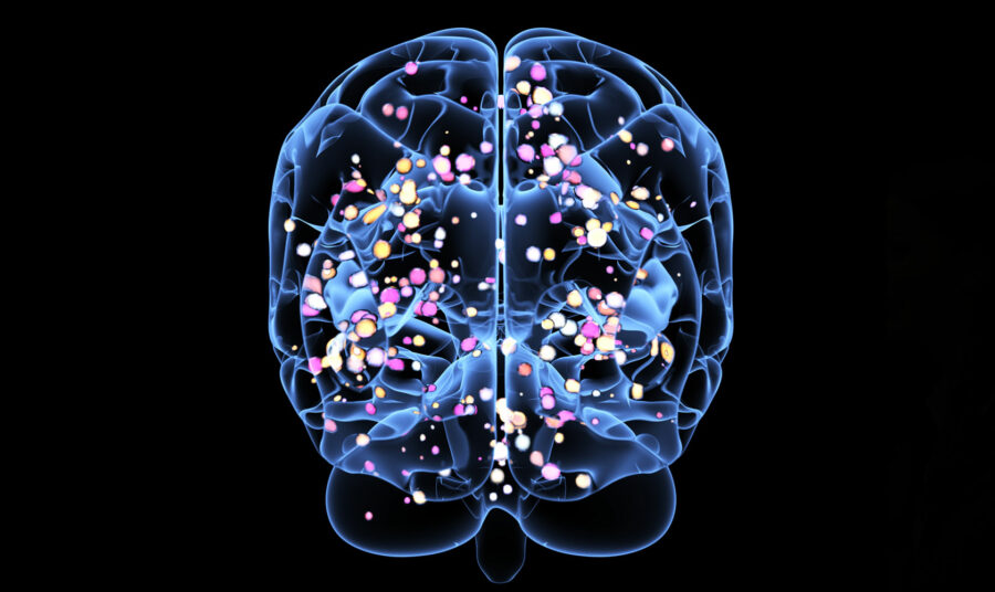 The Brain Uses Mental Shortcuts to Judge Risks and Threats